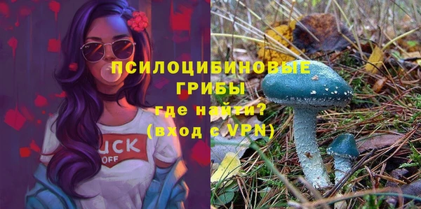 ECSTASY Новокубанск