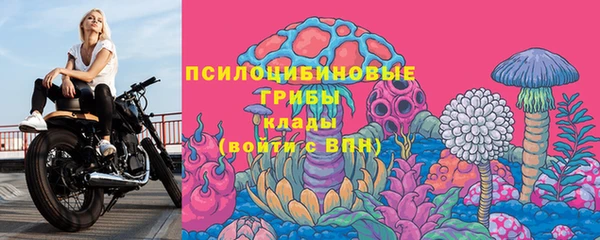ECSTASY Новокубанск