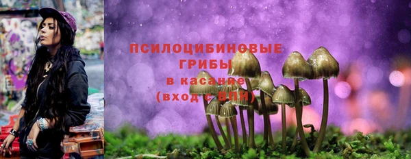 ECSTASY Новокубанск